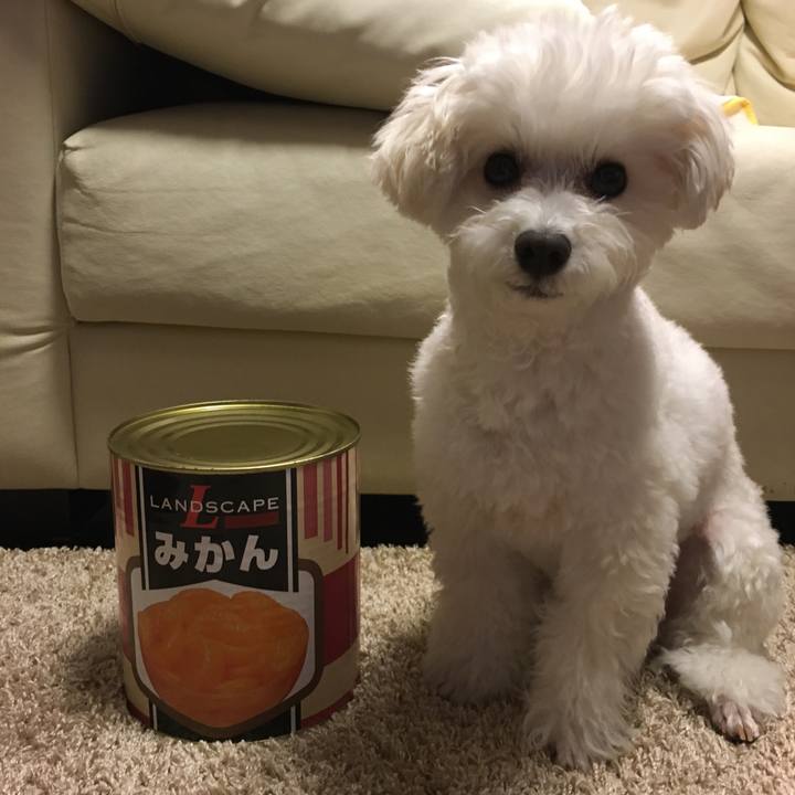 B1c2831f c329 49d6 8770 fe051877d138 1581676187750