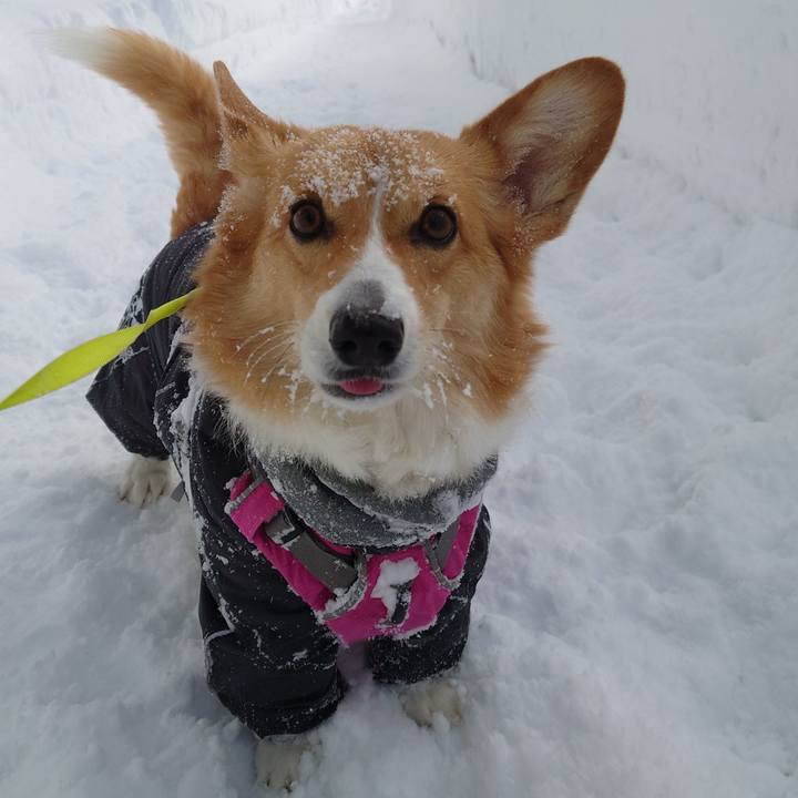 B1c2960e b7ac 46b9 a766 e3b920a76932 1769400754507