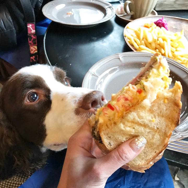 B1c2cb7e f76d 4f70 95a0 809c19e4f746 1516941928198