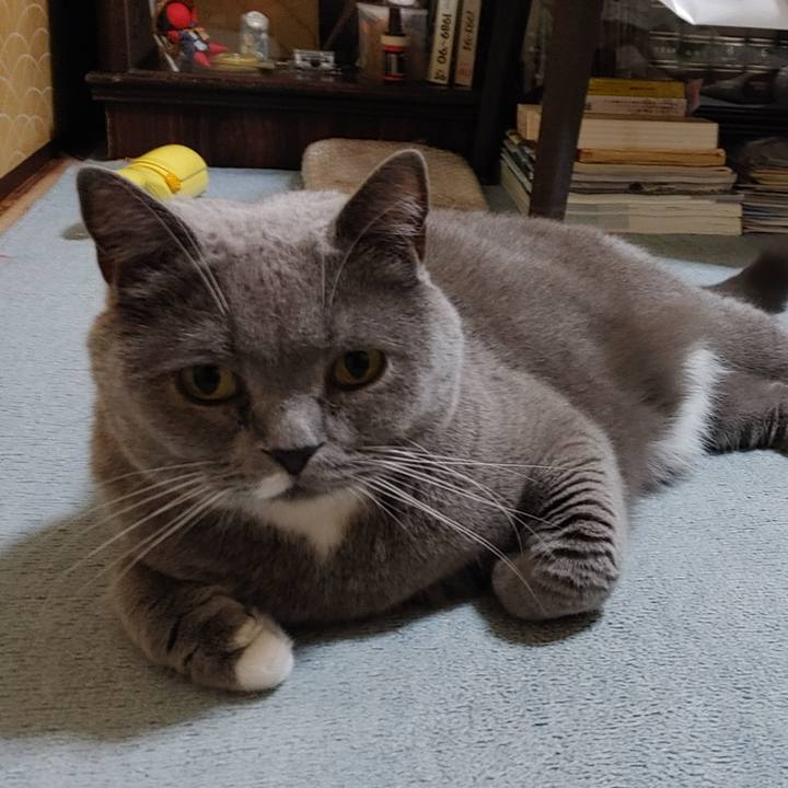 B1c2f681 1ed1 41cd 960b e036efa68f21 1704035228350