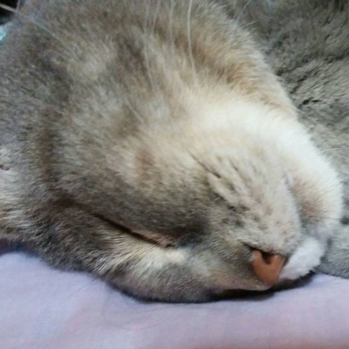 B1c306a2 9237 495d 99d6 0b164e71c40a 1560082604745