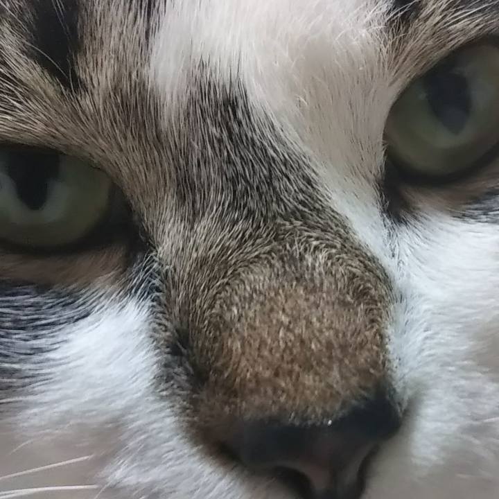 B1c32c8b 7b1b 411f acf8 582cad5c3479 1604403970364