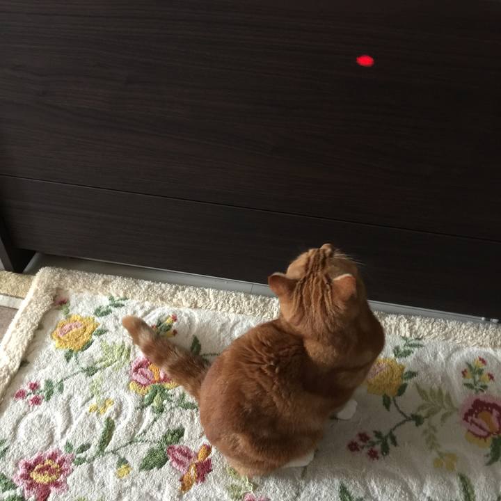 B1c336fd 3d35 4191 9b78 d2b7754636bc 1563593457686