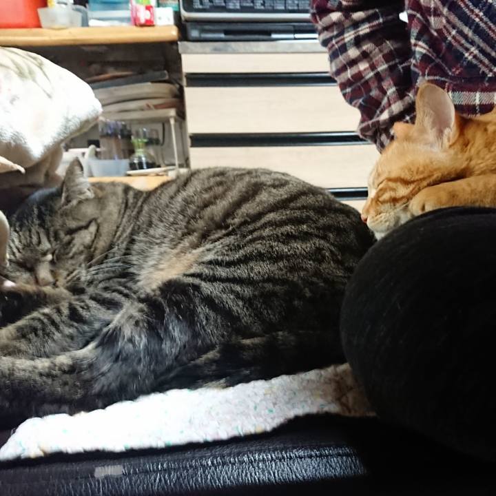 B1c34106 2fcb 43f1 a863 0bf35b146b82 1643540100355