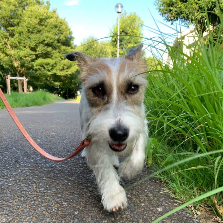 B1c351d8 adc1 49ab 8425 d3095fbd53d9 1626824049833