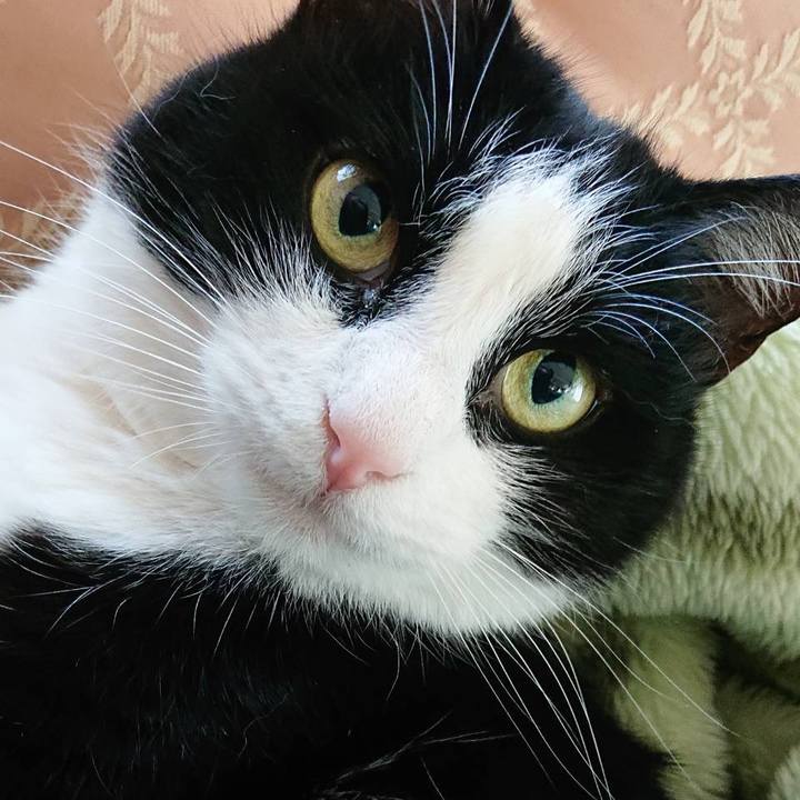 B1c36285 6c65 44ad b6b3 16bddb5679e5 1642600027689