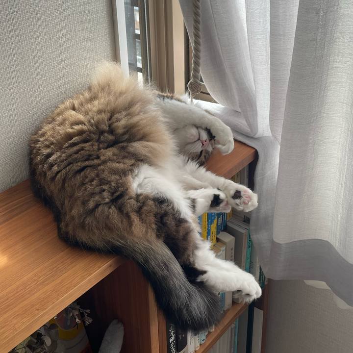 B1c36950 3d35 4128 a49c 2303084e8b3d 1760443758248