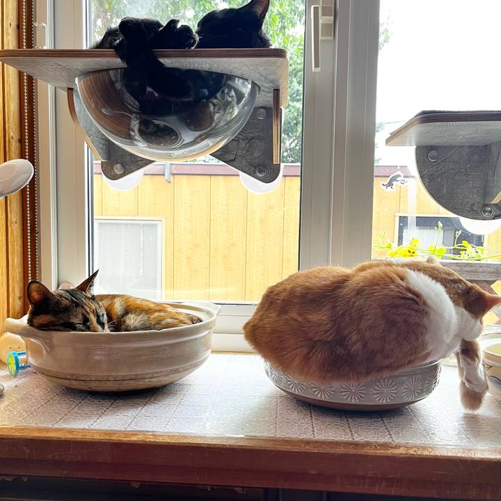 B1c36aed 90df 433a ad90 07eabd11523d 1727329070822