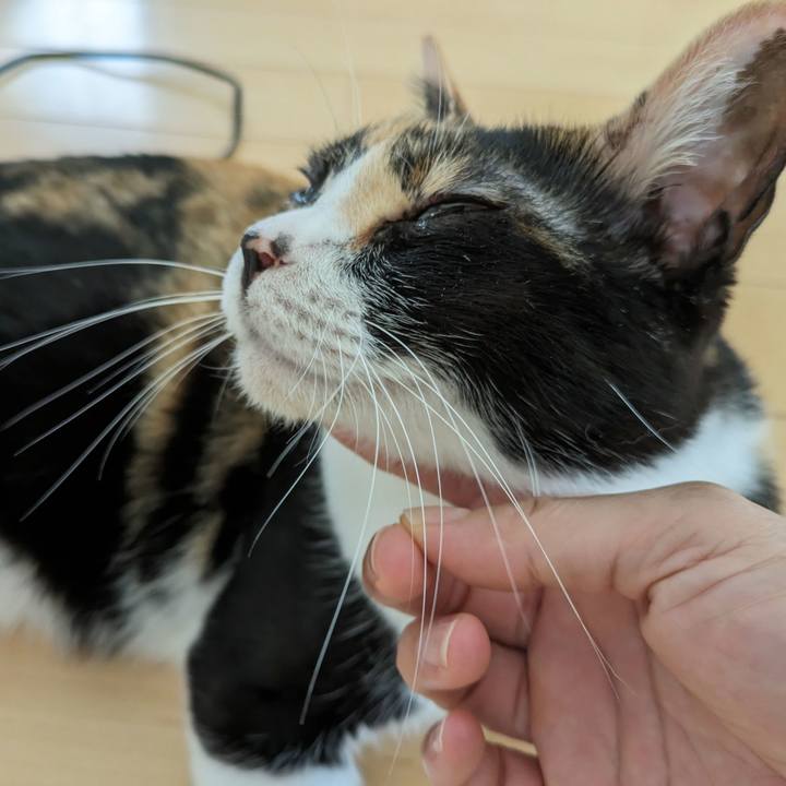 B1c37b9b 3c09 4e96 be0a 8f750623040f 1693887211598