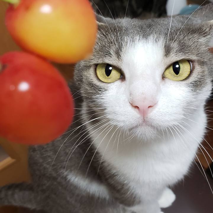 B1c37d10 abe8 4b84 aaab da87ce49eafb 1592826401204