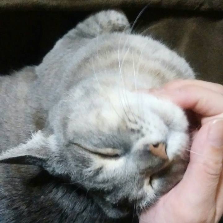 B1c3bcc9 b71c 4f24 bb7a 1c1347b76164 1521456381763