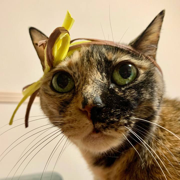 B1c3bd9c 7fc9 47af b606 c1a3e89f2efb 1612607192758