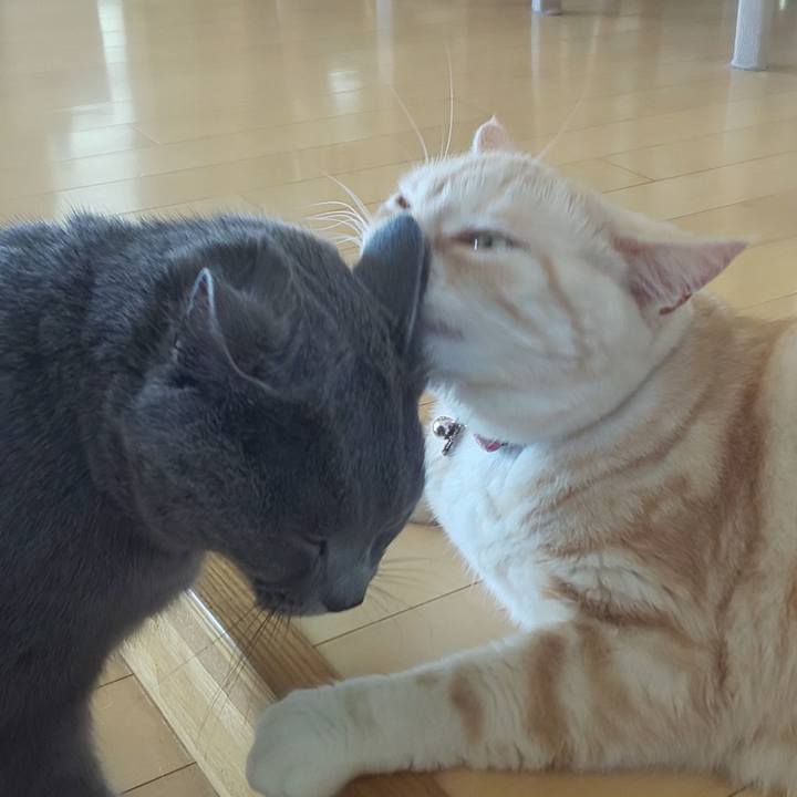 B1c3c185 7f4e 4d11 bac2 d197b7eb0f0f 1557983573839