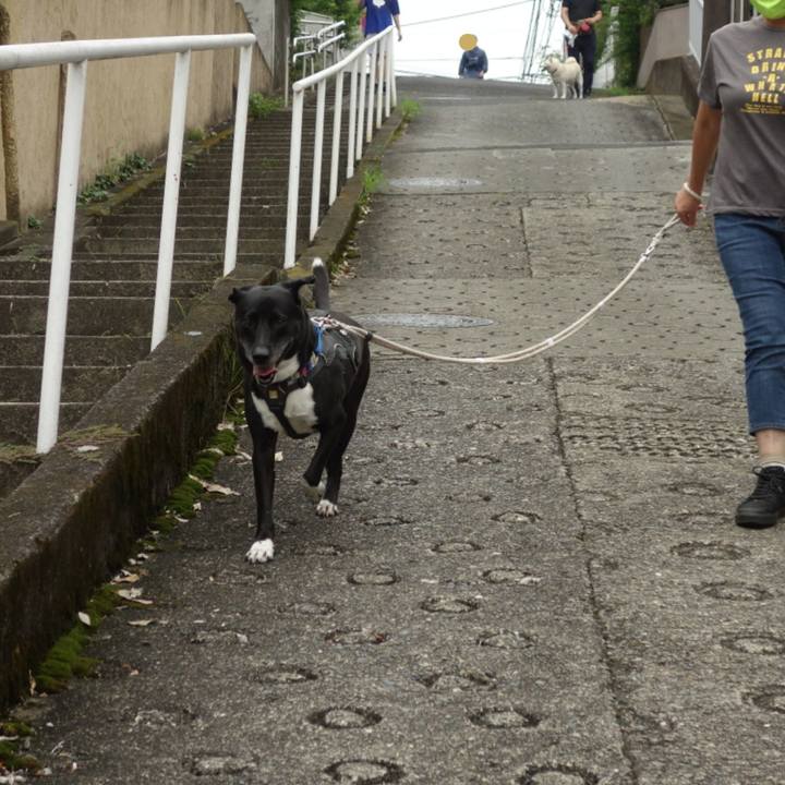 B1c3d187 e20f 4024 82a8 f56116d6bd54 1661817260715