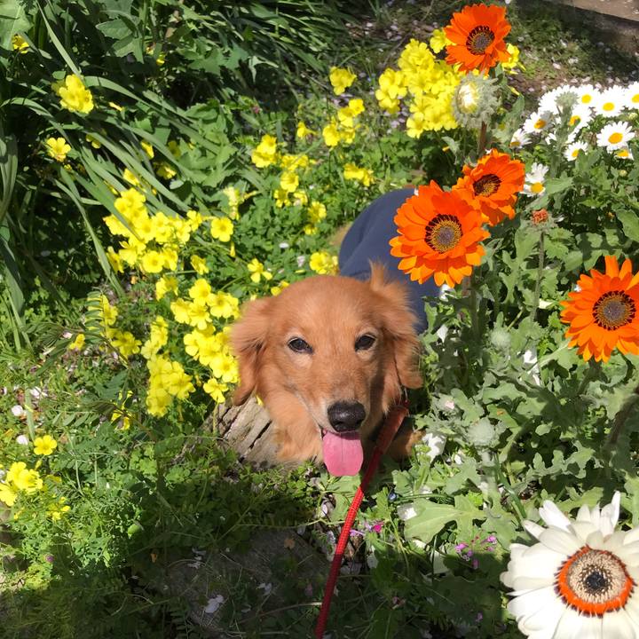 B1c3ecfe d50c 487d baea 93e0ecaefe4b 1585974177485