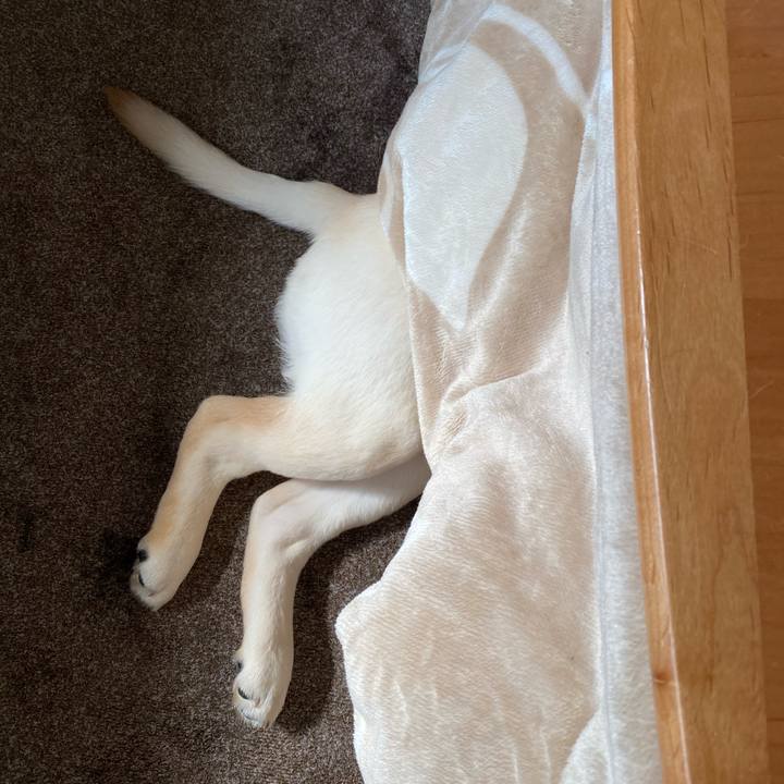 B1c3fc2b 0cc5 44e5 be35 f3d09e9a153f 1613621009632