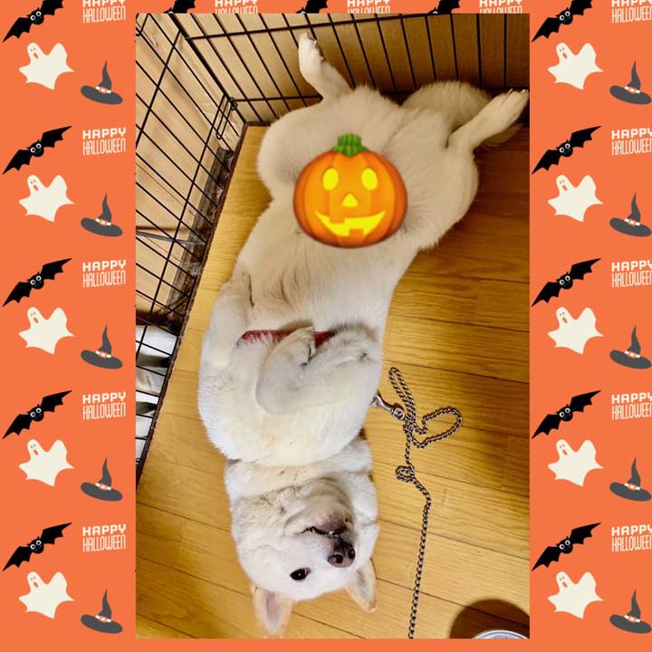 B1c436ae 97f4 4204 87ce 9d8dd429cf18 1571744178633