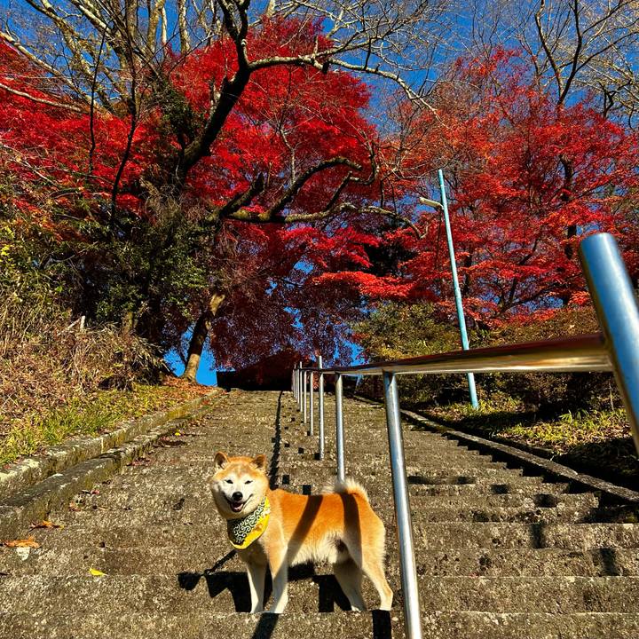 B1c43ea3 1fe1 4bb1 a6ab d020c9c8a421 1764154097643