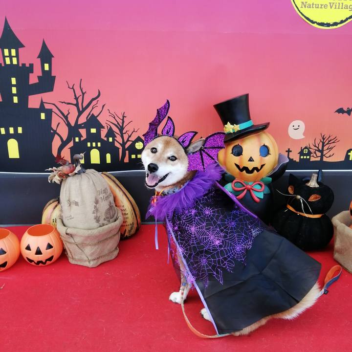 B1c43fab 1f43 4597 9aac f38eb435a83a 1634986890430