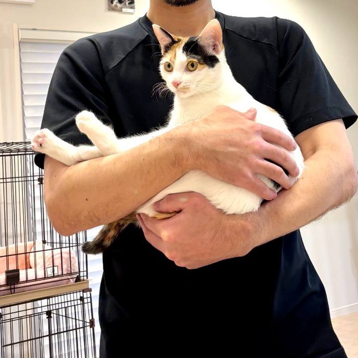 B1c4400d c573 46b3 99d6 b8865b2f81aa 1771057036648