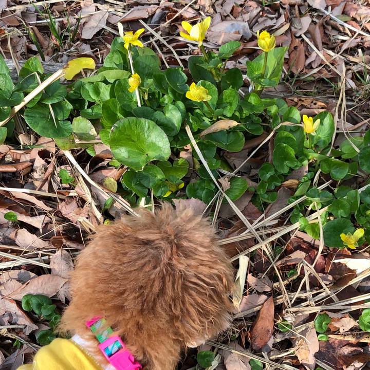 B1c44596 f054 4ff0 b06a 5b0f46a42b7a 1552369862852