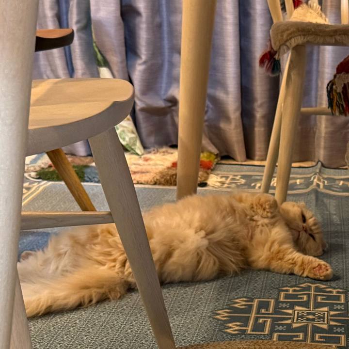 B1c44a84 ddf8 4375 a946 c630ea25b264 1770645708507