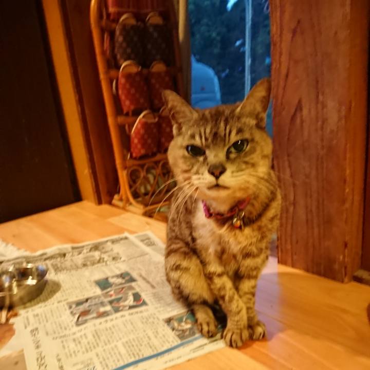 B1c45cf0 885d 447a b19c c37ed43acca0 1598298637101