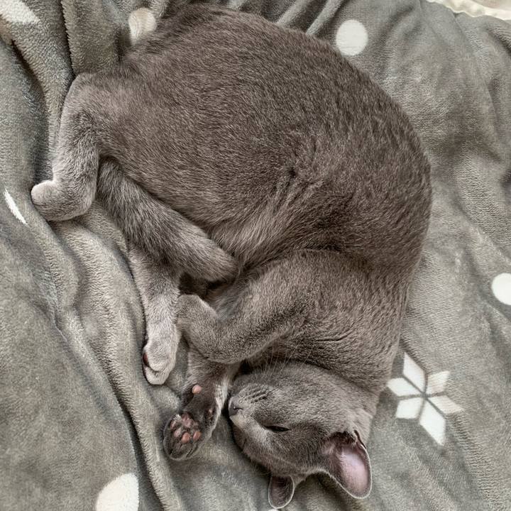 B1c47311 49a1 4247 823f 93929938b915 1584845646662