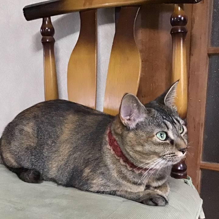 B1c48fa8 fa86 4815 ace8 1614f0849d65 1631870788935