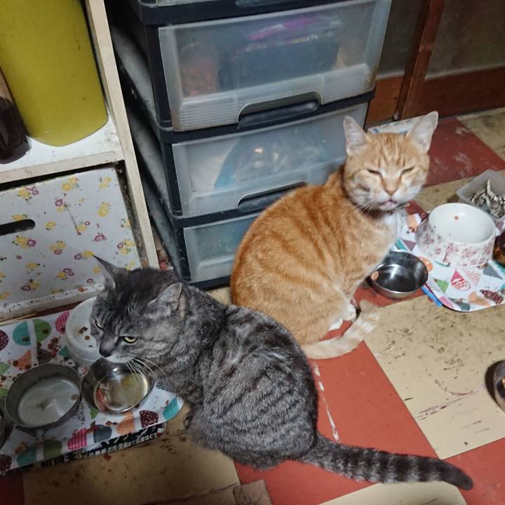 B1c4a1f8 61a0 4bdf 89ca 5d45c2376454 1589917968020