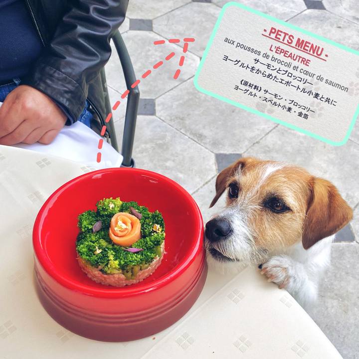 B1c4df87 d932 4ed0 9990 f822d8861a0c 1637321357662