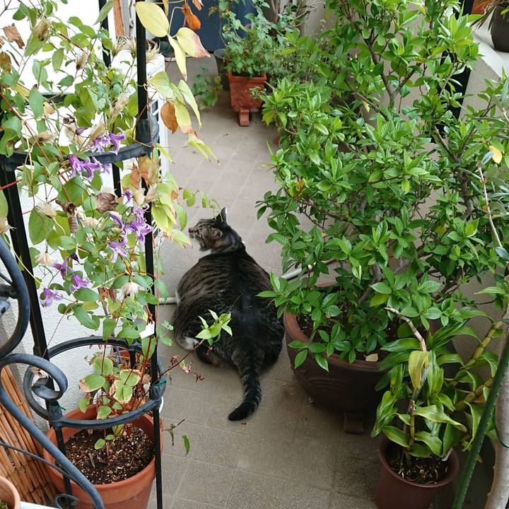 B1c4e78b 77c3 4edd 8bc1 b2f833f2fd78 1537573330944