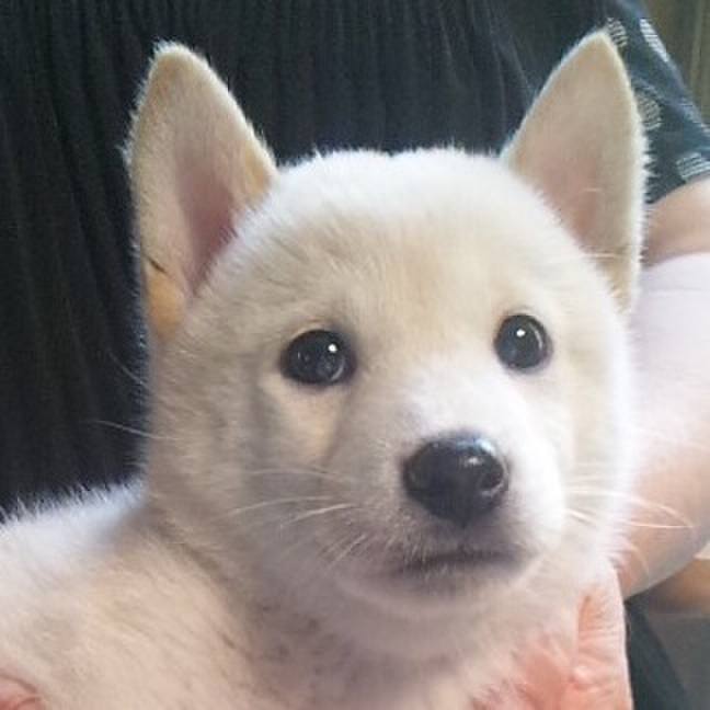 B1c4eb19 b3ec 4fbf b85a d9d1d03a8d68 1532244690933