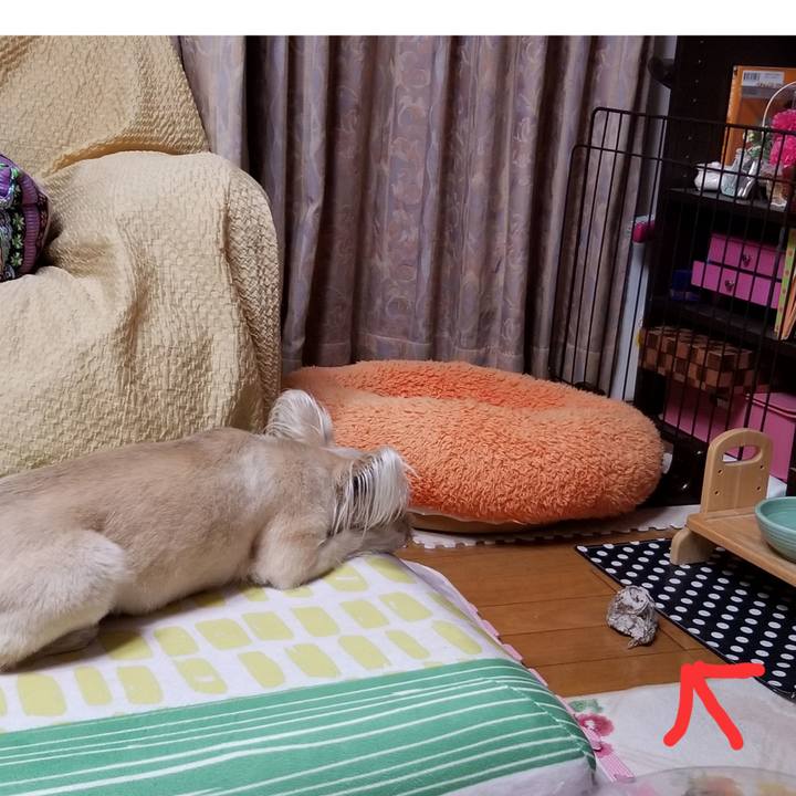 B1c5b86f 4f83 42d6 9bbb a5f71e957830 1526641471171