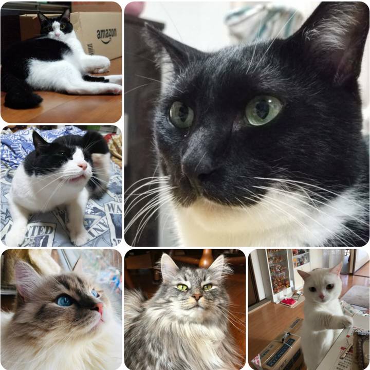 B1c61d4f 1eae 482b 8d6f bf3491a687bc 1566387357661