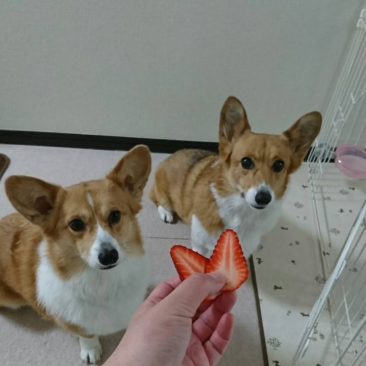 B1c64c16 d758 46c0 9477 15366f973b91 1518501167348