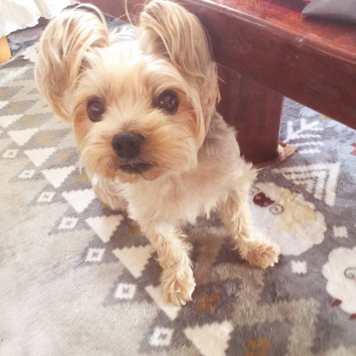 B1c65a57 e272 4d40 9a4a 6924bbbaaf37 1526285513681