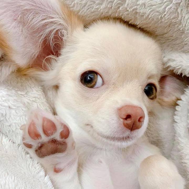 B1c6708b 854d 4e9f 8867 5d4a84b6d8a4 1657143940455