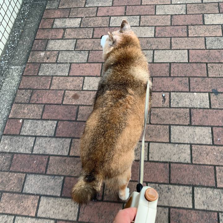 B1c6850c 5831 4c1c b764 0b9264fcbf14 1658445961066