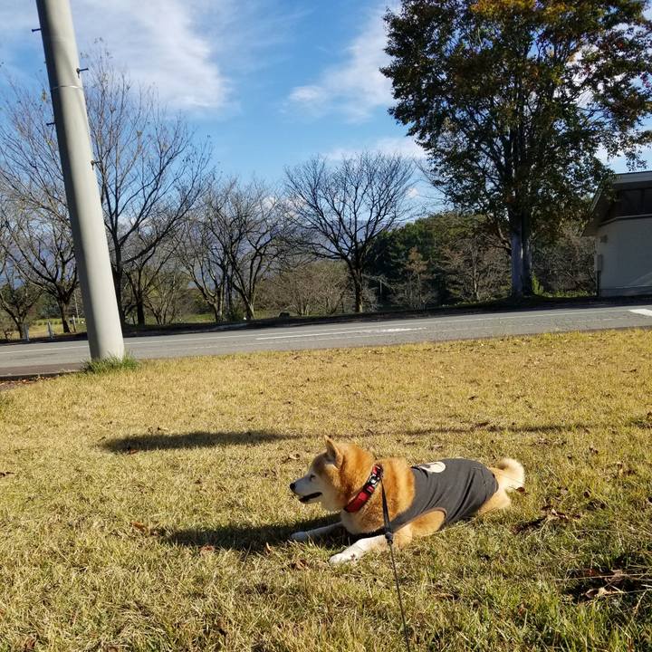 B1c6b58a 2b99 4de8 9550 bac786ff94bc 1731214195860