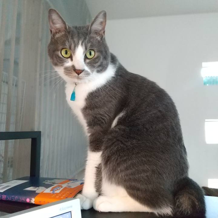 B1c6c042 4ff5 455d bbf3 89e6a0b0fc99 1652859445627