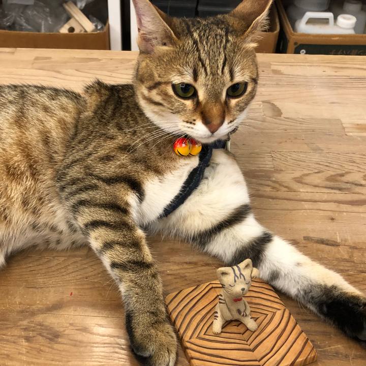 B1c740ef 53f9 4856 9884 dbf6bec20c6c 1589766130057