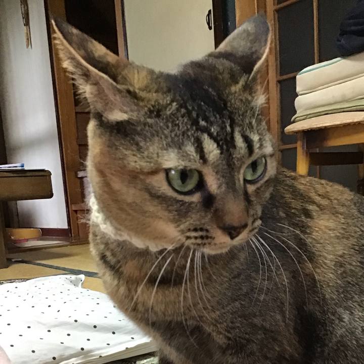 B1c745f7 e4b0 4fe9 9e24 aeea0ee1f81d 1647578753324