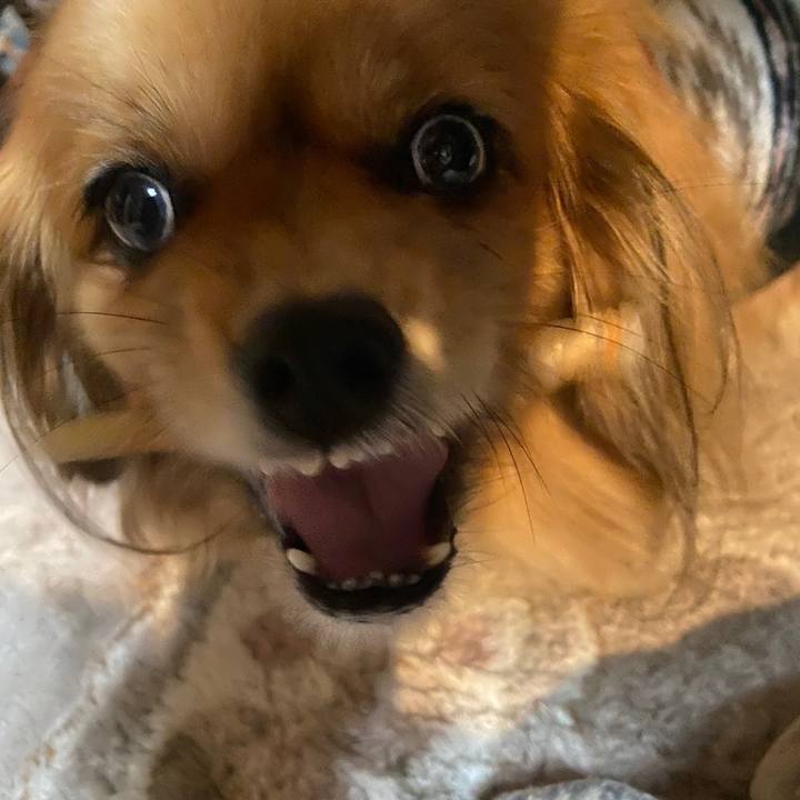 B1c79117 ba0b 4d52 acaf d11d316c61ab 1642023943067