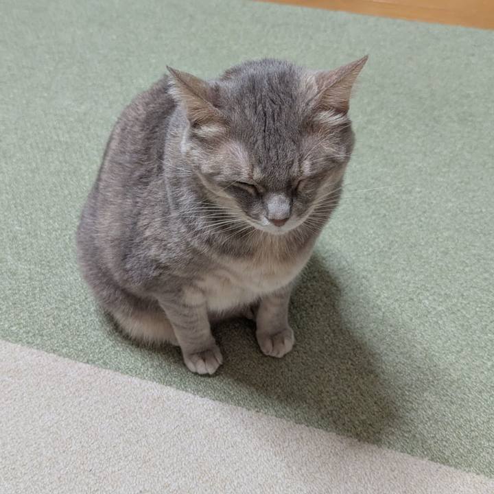 B1c7b25c e487 414e a683 2e7614149062 1763530949219