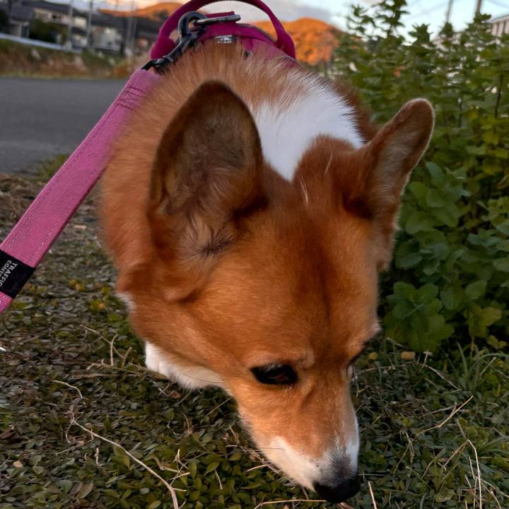 B1c7b289 7a68 451a ac36 76581c8b03e2 1732952578601