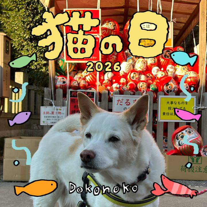B1c7fc5f 6f2a 49fb 92ba e1be7255ac0b 1771766890514