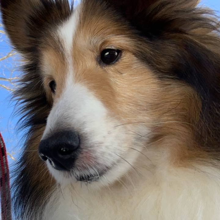 B1c8362c 44b0 4bef 9cb1 933d465426ad 1648041170711