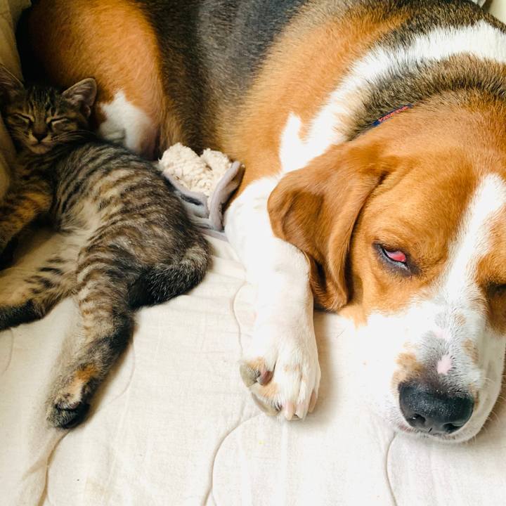 B1c8404d 103a 4851 835c 53f33d489d31 1591411595833