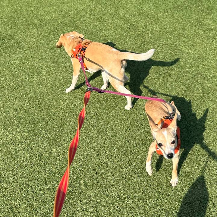 B1c86458 9a9b 4349 91bd 4dceec1a0c88 1678168764304